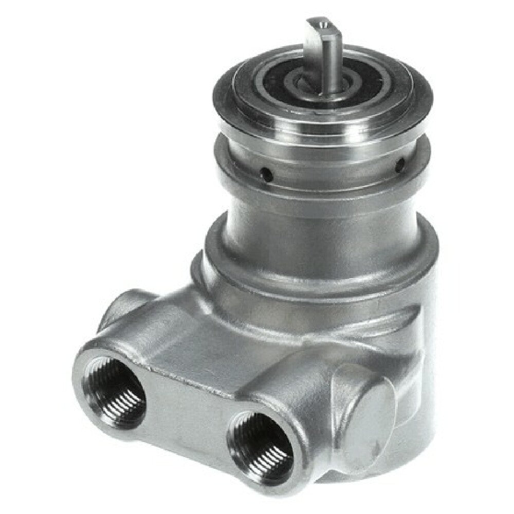 Multiplex 113A100F31XX Carb Pump Ss 100 Gph No Strain