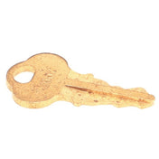 Multiplex 1117390001 Key Sw #2007