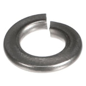 Multiplex 901904 Washer Lock 1/4in Ss
