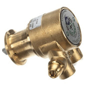 Multiplex 2005613 Pump 70gph Brass Bypas S170psi