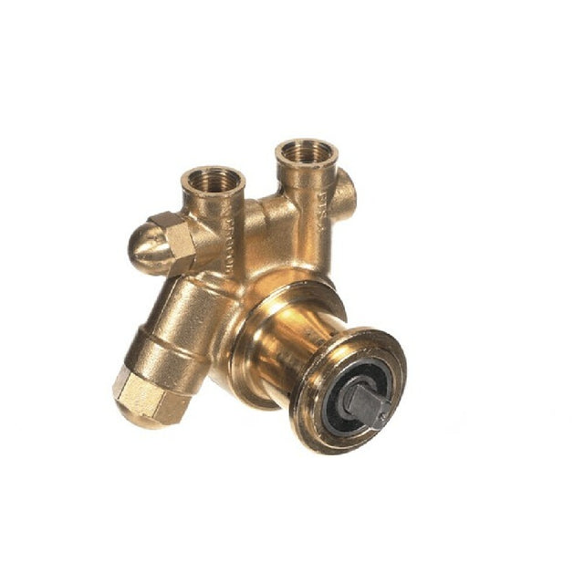Multiplex 5009613 Pump Brass Rotary Vane 1 25 Gph