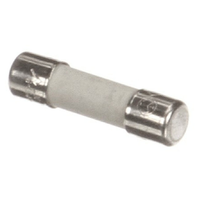 Delfield 2195313 Fuse 5a Ht Ceramic Sl Ow Blow B