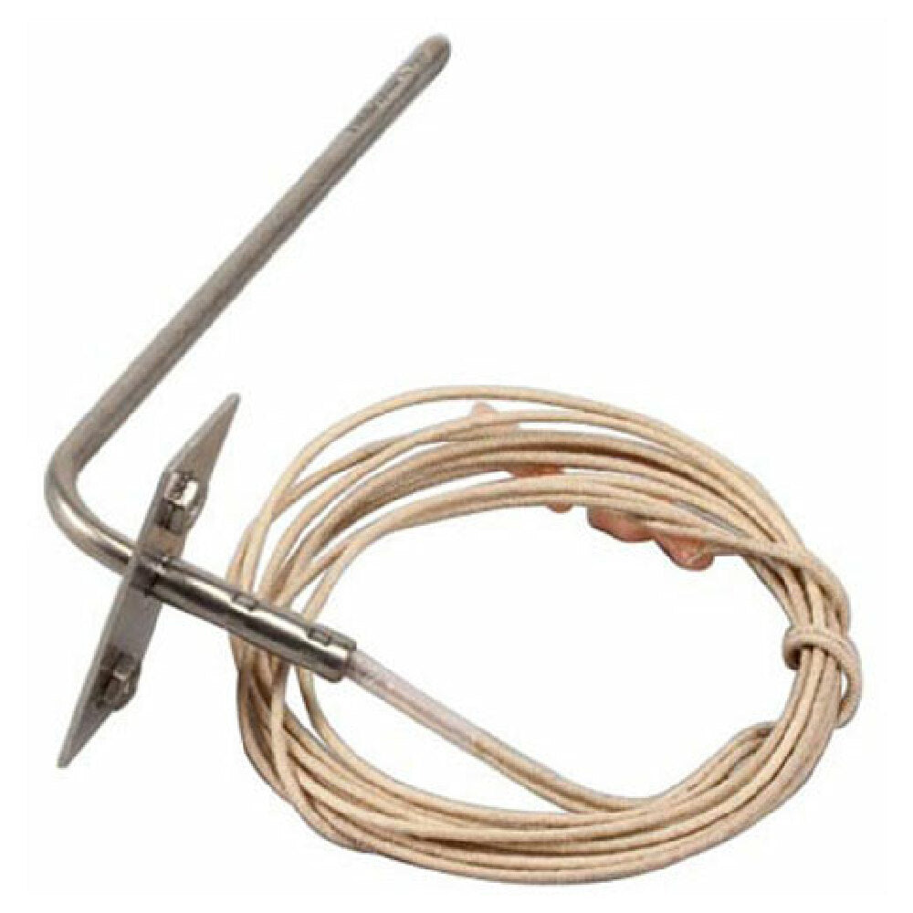 Blodgett R6003 Thermistr 100k Ohm Probe