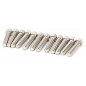 Prince Castle 911-15 Blade Reten Screws 12pkg
