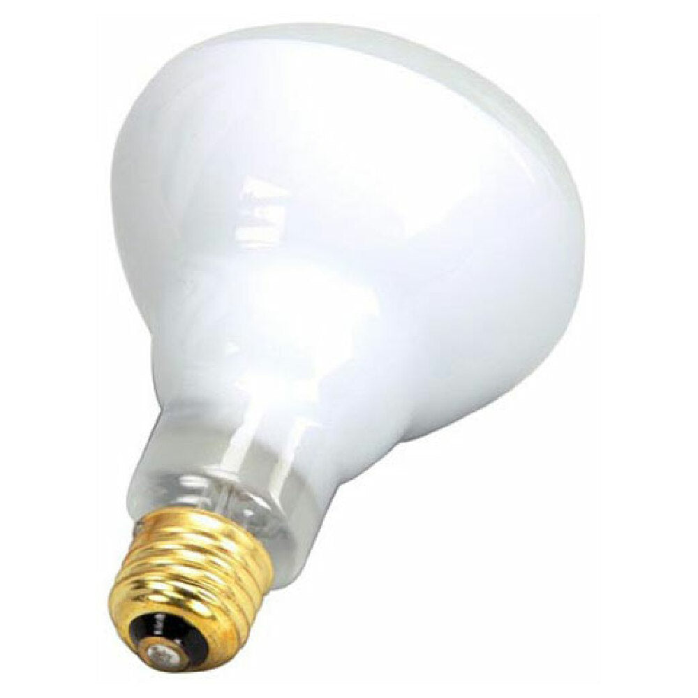 Star Mfg 2S-Y4584 Lamp 65 75w Rflr Flood