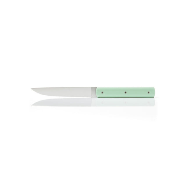 Revol 206888 Perceval Table Knife 888 High End And Resistant Steel Blade Non Serrated