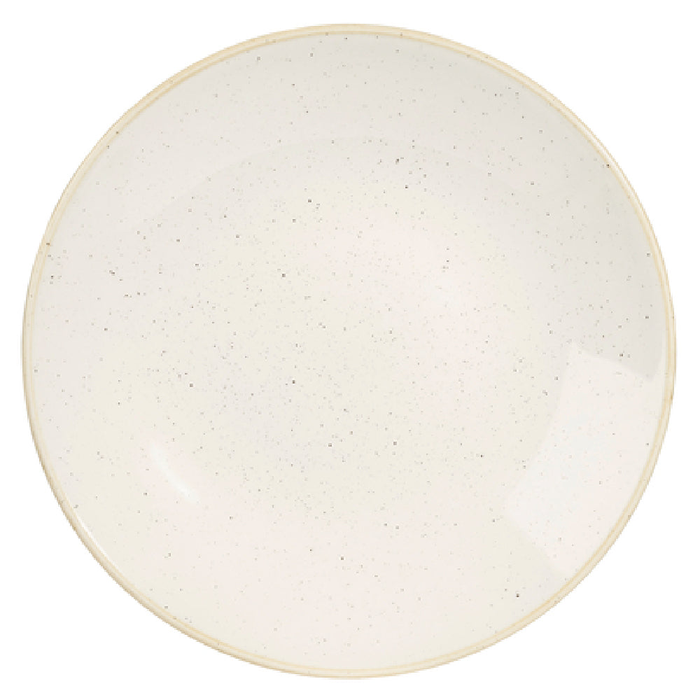 Churchill China SWHSPD251 Plate 10" Dia. Round