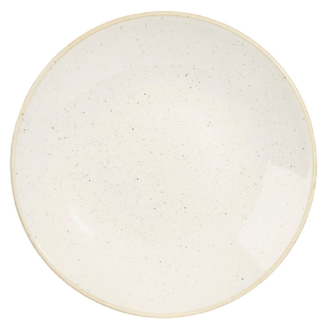 Churchill China SWHSPD251 Plate 10" Dia. Round