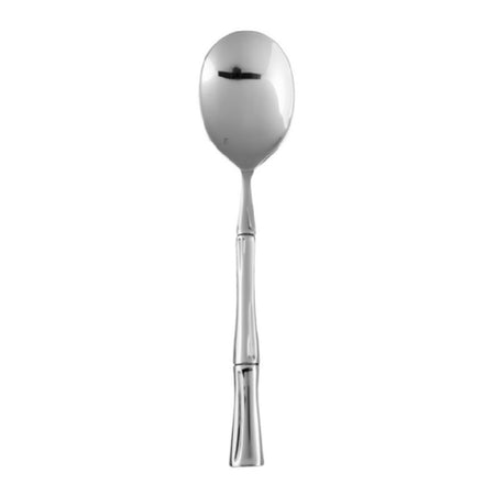 Fortessa 1.5.127.00.027 10 Inch Serving Spoon Dishwasher Safe Stainless Steel