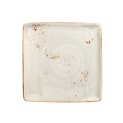 Vertex China LTP-Q22 Plate 8-1/2'' X 8-1/2'' Square