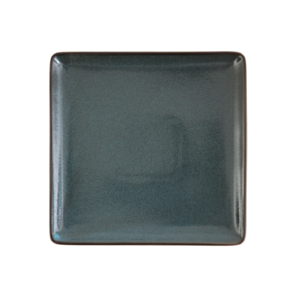 Fortessa 5900.BLU.3872 Ston Twilight Plate 9" Dishwasher Safe