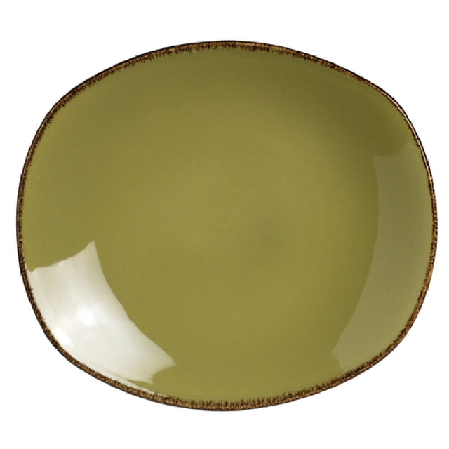 Steelite 11220580 Spice Plate 10.0" X 9.0" X 1.125" Terramesa