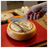 BOSKA 190011 - Boska Semi-hard Cheese Knife, 210mm Red, 2.36''W X 13.77''D X 0.78''H