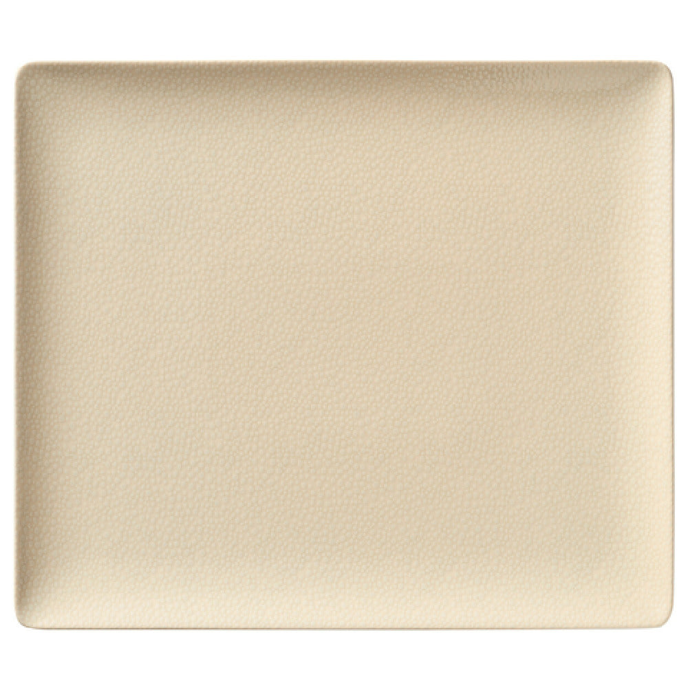 BauscherHepp 692327-425782 Platter 10.6"x 7.9"x 0.8"H Rectangular