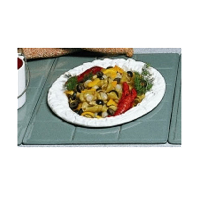 Bon Chef 9600H5500GINGER Tile Tray Custom Cut 13" X 21-3/8"