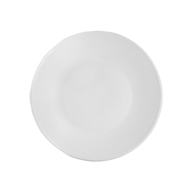 Arc Cardinal FP249 Santa Anita Reflections Glacier Coupe Plate (D:9.0'') Stoneware
