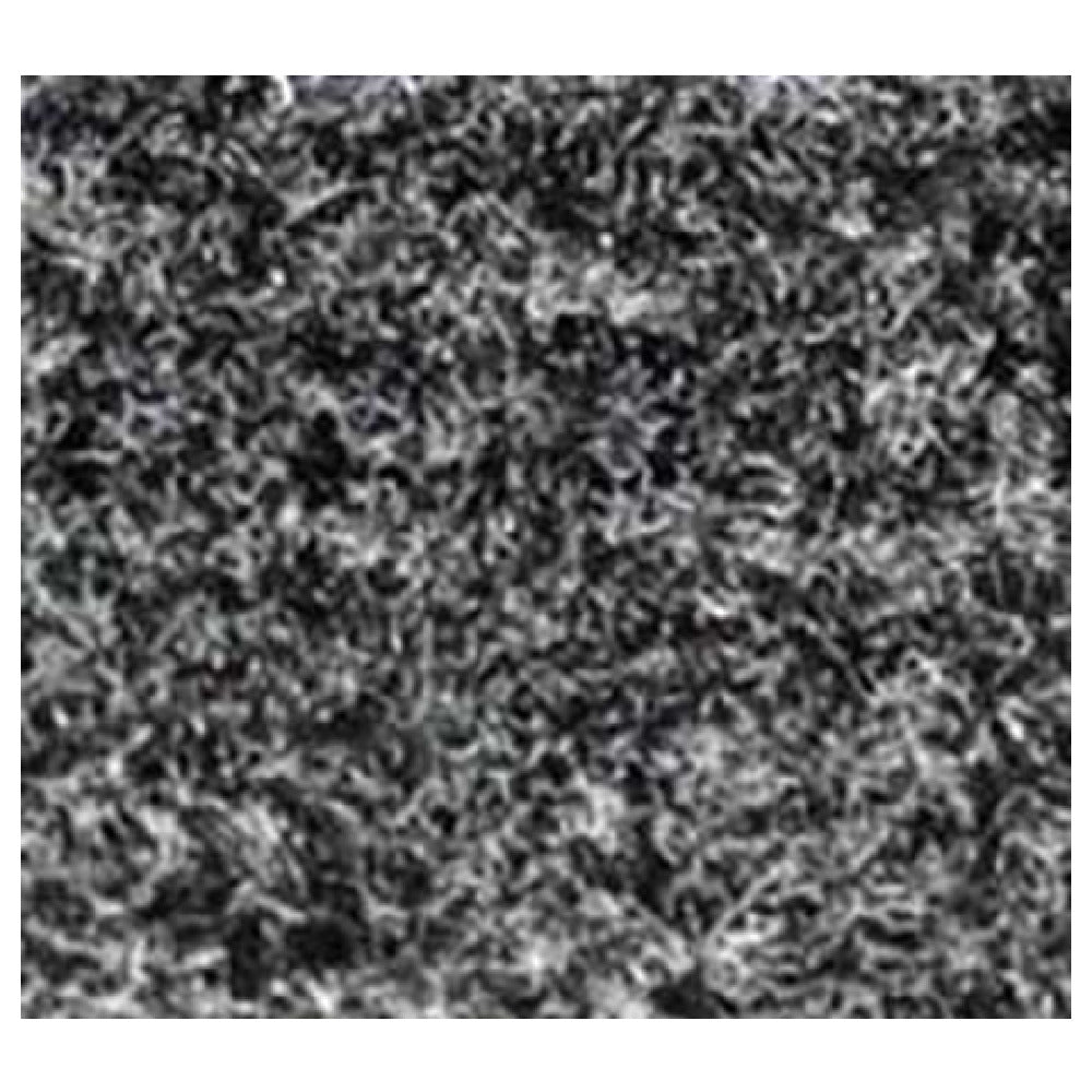 Royal CARPET 4 X 8 HC - Floor Mat, 4' X 8', 100% Olefin Fiber