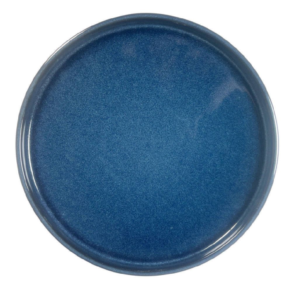 Vertex China ES-D16-B Dish Round 10-1/2''