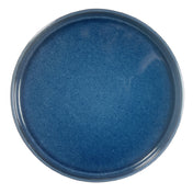 Vertex China ES-D16-B Dish Round 10-1/2''