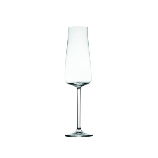 Hospitality Brands HGA40210-006 Hospitality Brands Jasmine Champagne Glass 9.5 Oz.