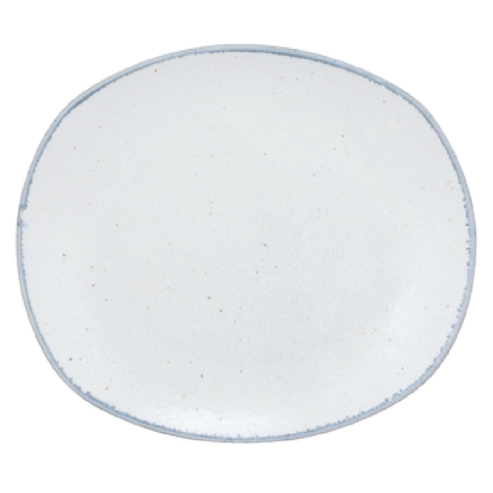 10 Strawberry St ARCTIC-1REC - Dinner Plate, 10-1/4", Rectangular
