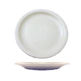 International Tableware BR-9 Plate 9-1/2" Dia. Round