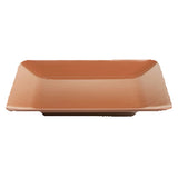 Elite Global Solutions M99SQ-STC Plate 9" X 1-1/4"H Square