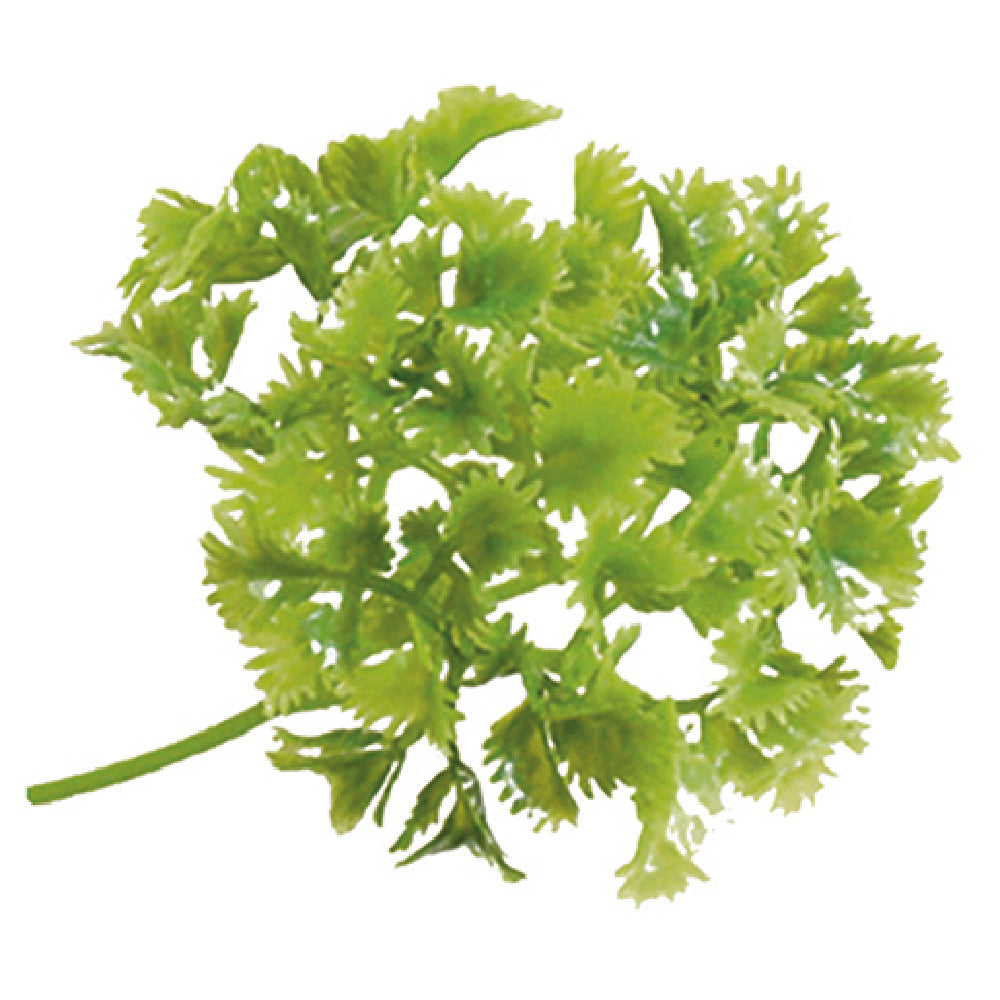 BauscherHepp L35 Luxury Parsley Sprig Garnish 7-1/2" Green