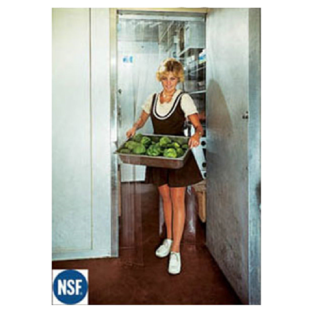 Royal WOR 3884 - Cooler Curtain Door, 38" X 84", Clear