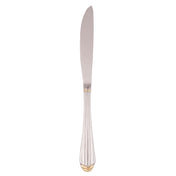 10 Strawberry St PAR-DK - Dinner Knife, 9" Long, Dishwasher Safe