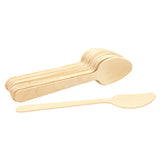 TableCraft Products BAMDSPN65 - Cash & Carry Disposable Spoon, 6-1/2", Eco-friendly
