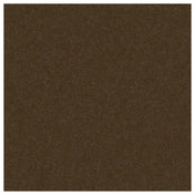 Forbes Industries AS-FR-PC-SP8011 Frame Solid Color PowderCoat-SP8011