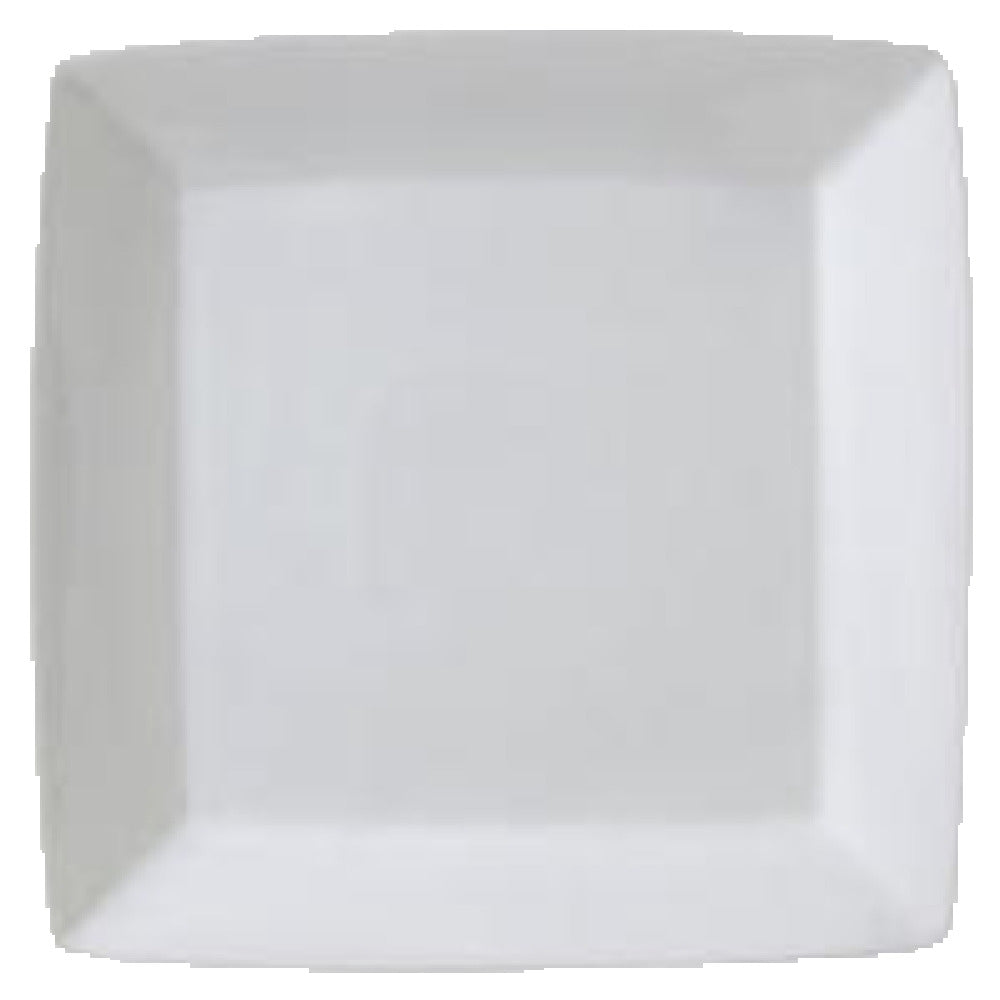 Vertex China ARG-S16P Plate 10" X 10" Square