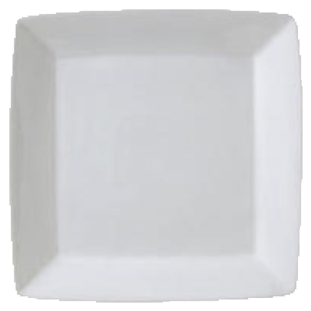 Vertex China ARG-S16P Plate 10" X 10" Square