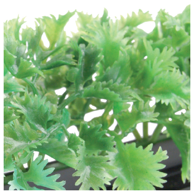 BauscherHepp GB3550 Luxury Parsley Garnish 19-3/4"L Dishwasher Safe