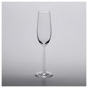 Anchor Hocking 1LS03CP09 Champagne Glass 8.5 Oz. (250 Ml) Glass