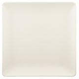 Elite Global Solutions ECO1010SQ-PP Plate 10" X 1"H Square