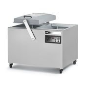 Eurodib USA PAMPERO222D3G - Falcon Vacuum Packaging Machine, Floor Model, Double Chamber