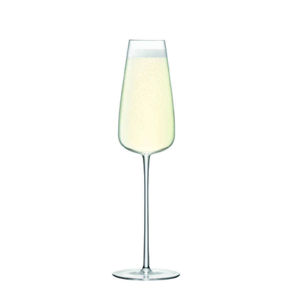 Hospitality Brands HGLWU08-002 Hospitality Brands Wine Culture Champagne Glass