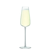 Hospitality Brands HGLWU08-002 Hospitality Brands Wine Culture Champagne Glass