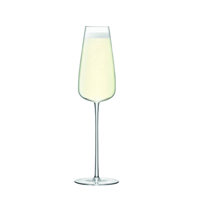 Hospitality Brands HGLWU08-002 Hospitality Brands Wine Culture Champagne Glass