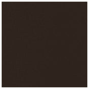 Forbes Industries AS-FR-PC-PC21 Frame Solid Color PowderCoat-PC21