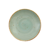 Fortessa TC7300.DV.5.98 TC Erthe Celadon Pasta Bowl 10.25" (26cm) Coupe