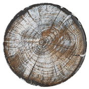 BauscherHepp 711220-360226 Plate 8" Dia. Round