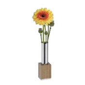 BauscherHepp 55.0041.6140 Flower Vase 1" Dia. 1-3/4"W X 1-3/4"D X 6-1/4"H