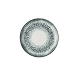 Churchill China ERAWVP8 1 - Plate, 8.20" Dia., Ceramic