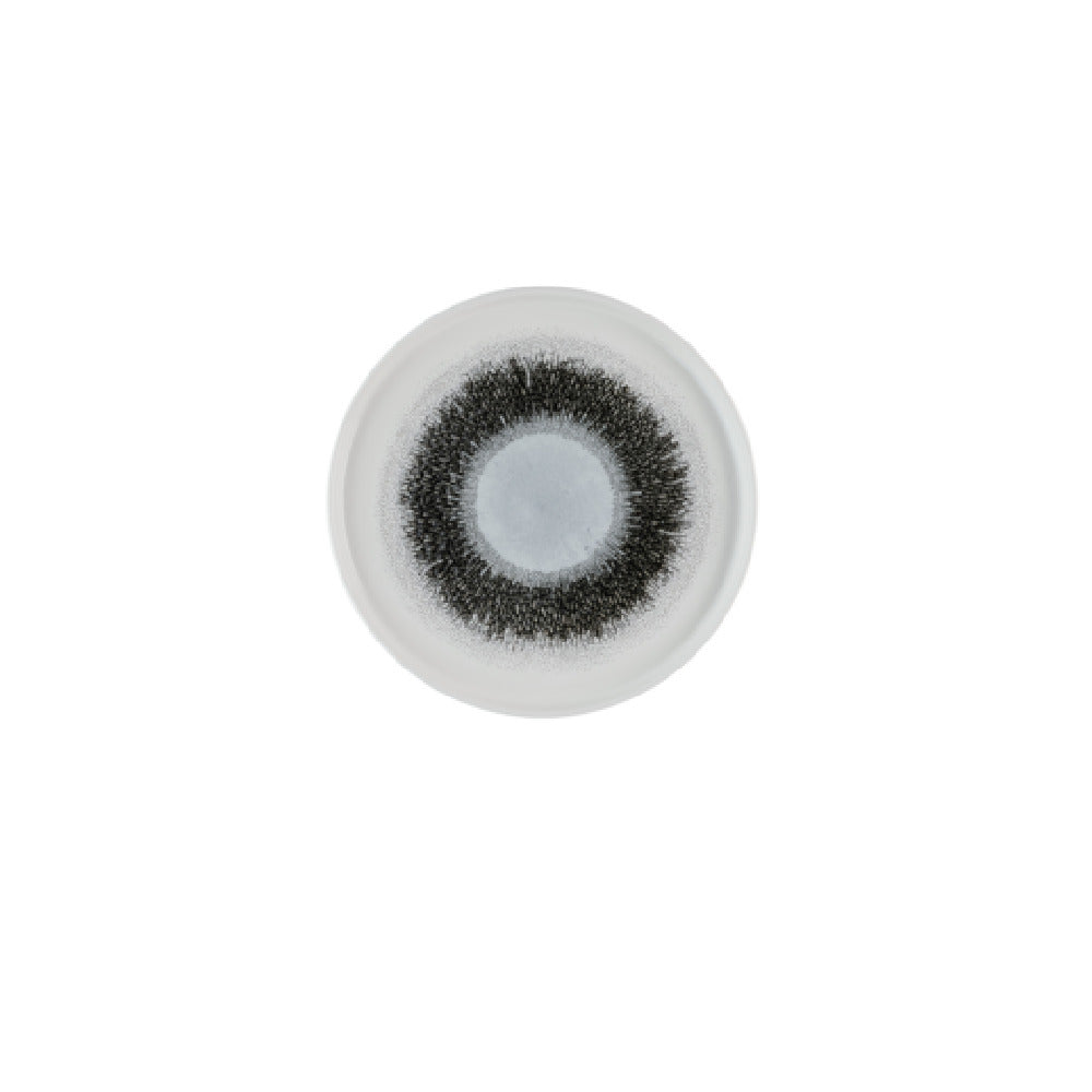 Churchill China FSBKWP261 - Walled Plate, 10-1/4" Dia., Round