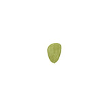 A single, light green, triangular leaf with visible vein patterns is centered on a plain white background, its smooth edges and asymmetrical form reminiscent of a Cactus Add on. The leaf gently tapers to a small point at the bottom.