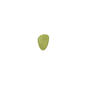 A single, light green, triangular leaf with visible vein patterns is centered on a plain white background, its smooth edges and asymmetrical form reminiscent of a Cactus Add on. The leaf gently tapers to a small point at the bottom.
