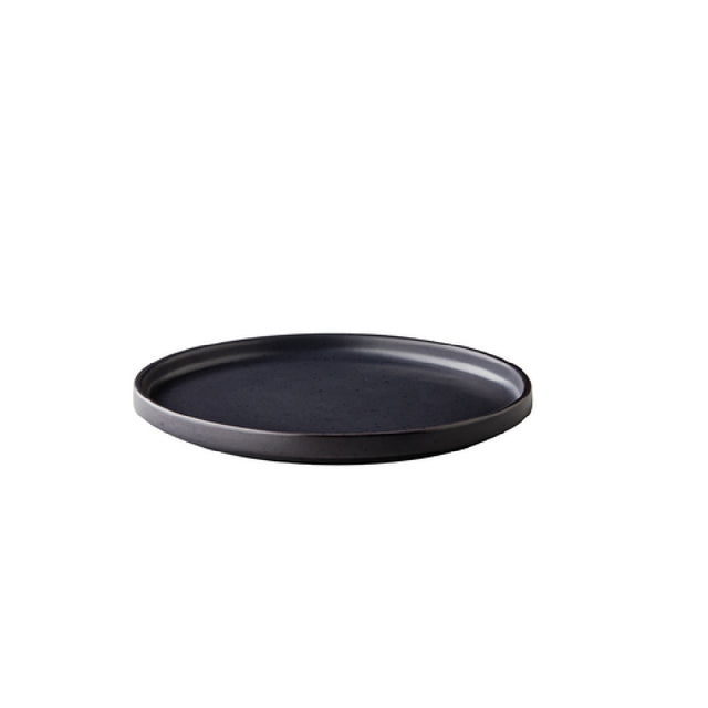 BauscherHepp QU35110 ShApes Plate Raised Edge Stackable